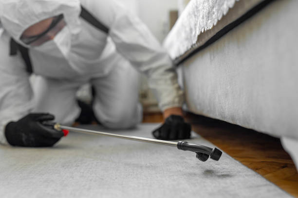 Professional Pest Control technician working in Benton County County, MO